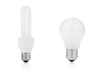 Light bulb and electrical fluorescent energy saving lamp