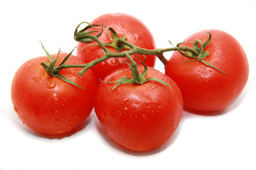 bright tomato