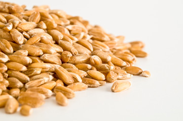 Dinkel