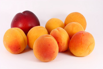 Apricots and nectarine