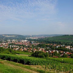 Fototapeta na wymiar Würzburger Stadtpanorama