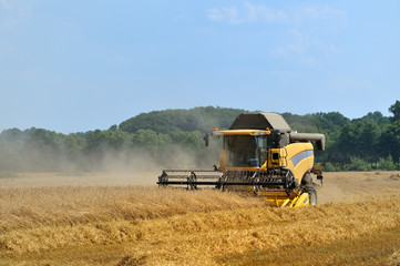 combine harvesting
