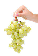 The female hand holds one grapes
