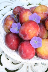 Plums with decoration