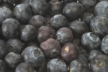 Blaubeeren