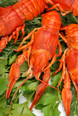Lobsters on a parsley