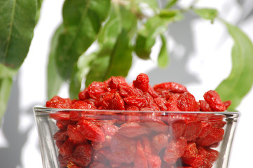 Goji