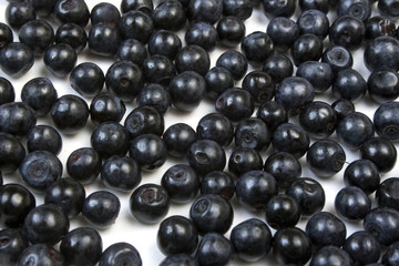 bilberry