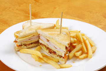 sandwich with french fries