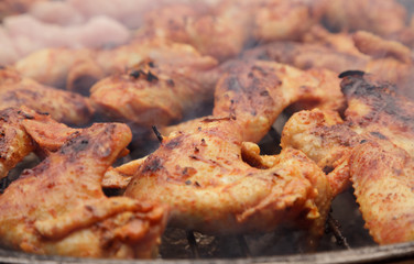 Chicken shish kebab on coal