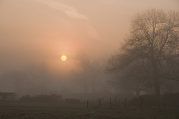 Fototapeta premium La brume matinale estompe les contours de ce paysage champêtre