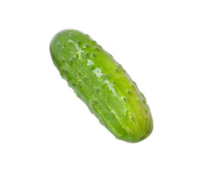 Fresh cucumber