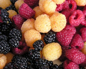 three colors of raspberries