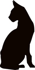Siamese cat sillhouette