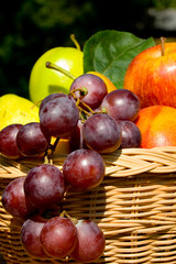 Still life fruit