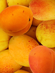 Fruit apricots