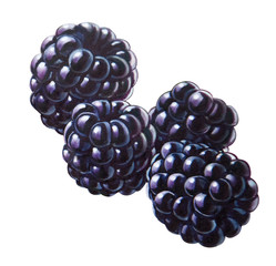 Brombeeren