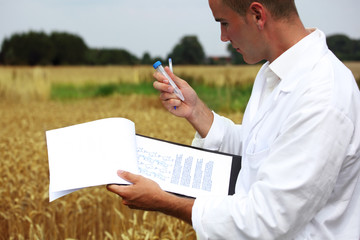 Wissenschaftler im Kornfeld