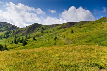 Fototapeta na wymiar pastwiska w Val d'Allos