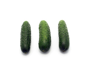 Tree Cucumbers