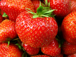 Close up of strawberries