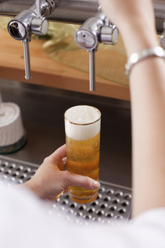 frisches bier