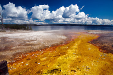 Acqua colorata Yellowstone N.P. ©2009 GecoPhotography - 16287484