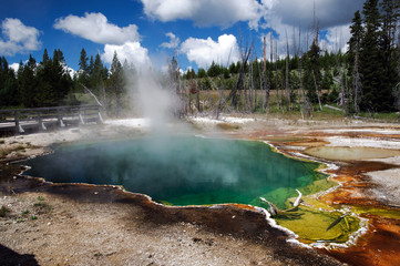 Pozza acqua sorgente Yellowstone N.P. ©2009 GecoPhotography - 16287609
