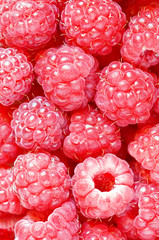 raspberry