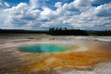 Morning Glory Pool Yellowstone N.P. ©2009 GecoPhotography - 16288431