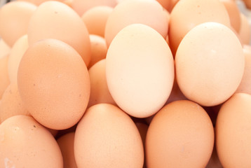 eggs