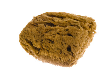 natural sponge isolated on white background