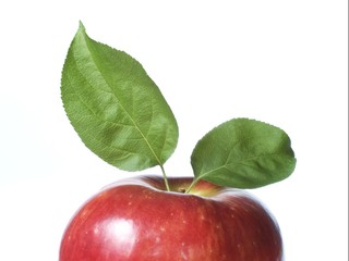 fresh red apple with leaves close up isolated on white