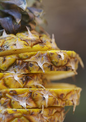 Close up - ananas a fette