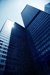 Obraz premium skyscrapers