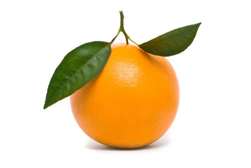 Fresh orange. Macro studio shot on white background.