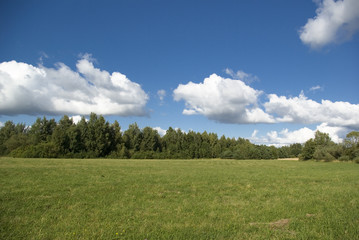 Fototapeta premium Landscapes