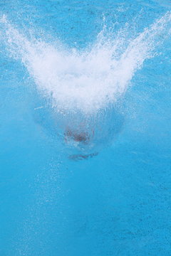 Splash