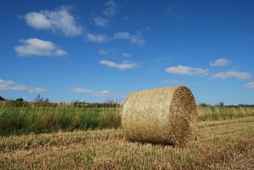 Fototapeta premium Single bale of straw in a farm field