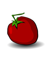 Tomato