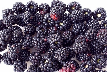 blackberries