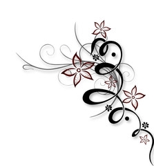 Blume, Ranke, Blüten, filigran, floral