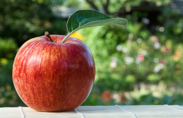 Red apple with green leaf