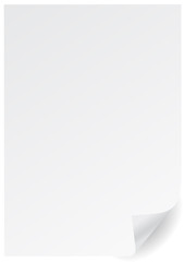 A4 white vector page with corner