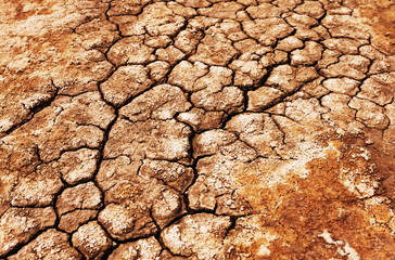 Drought texture