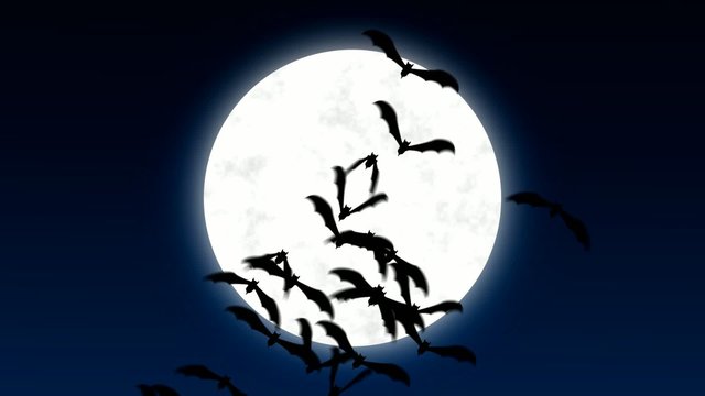 bats over moon in the dark sky, Halloween