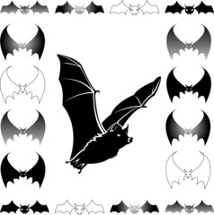 Bat