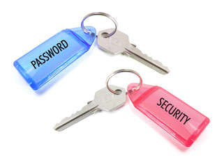 Key Rings with Tags