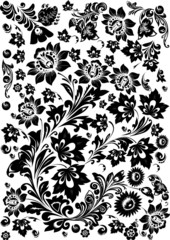 black design with beautiful flowers