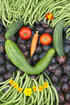 Vegetable Face 01